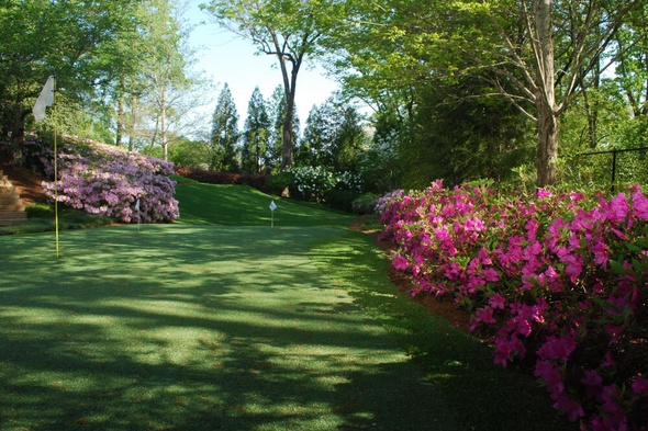 Huntsville backyard putting green grass with flags and pink flowers